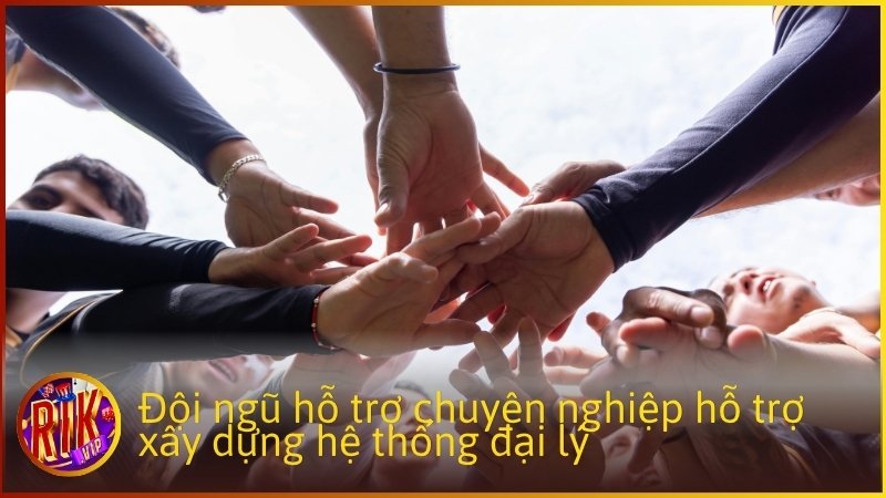 Đội ngũ hỗ trợ chuyên nghiệp hỗ trợ xây dựng hệ thống đại lý